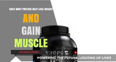 Whey Protein: Effective for Weight Loss and Muscle Gain?