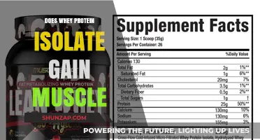 Whey Protein Isolate: Effective Muscle Builder or Just Hype?