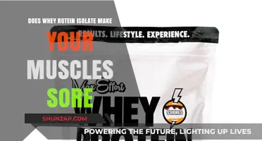 Does Whey Protein Isolate Cause Muscle Soreness? Facts Explained