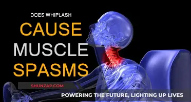 Whiplash and Muscle Spasms: What's the Connection?