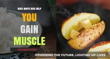 White Rice and Muscle Gain: A Nutritional Guide for Fitness Enthusiasts