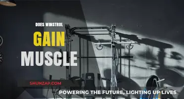 Does Winstrol Build Muscle? Unveiling the Truth and Effects