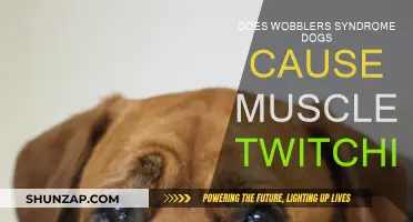Wobbler Syndrome in Dogs: Muscle Twitching Explained