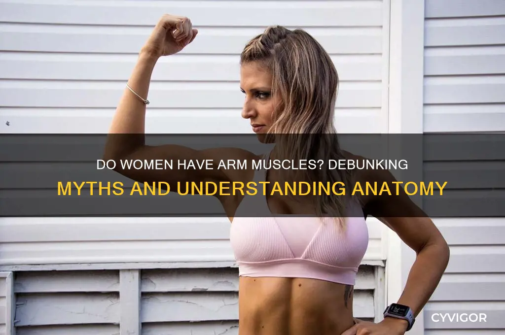 does woman have arm muscle