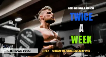 Double Muscle Workouts Weekly: Effective Strategy or Overkill for Gains?