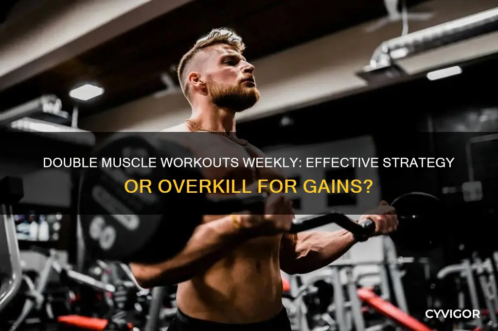 does working a muscle twice a week
