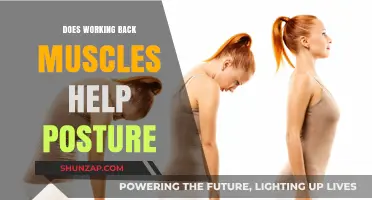 Strengthening Back Muscles: Key to Improving Posture and Reducing Pain