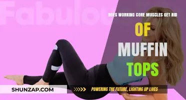 Can Core Workouts Eliminate Muffin Tops? The Truth Revealed