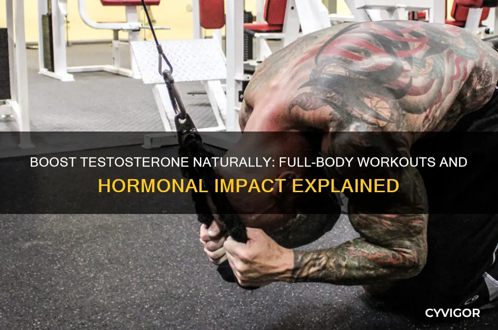 does working every muscle increase testosterone levels