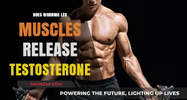 Leg Workouts and Testosterone: Unlocking Hormonal Benefits Through Lower Body Training