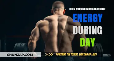 Muscle Workouts: Boosting Daily Energy Levels and Productivity