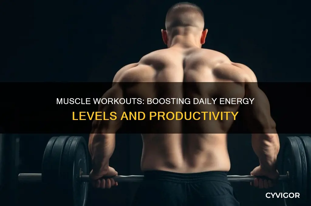 does working muscles reduce energy during day