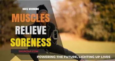 Can Active Recovery Ease Muscle Soreness? Science Explains the Truth