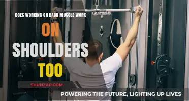 Back Workouts: Do They Strengthen Your Shoulders Too? Find Out