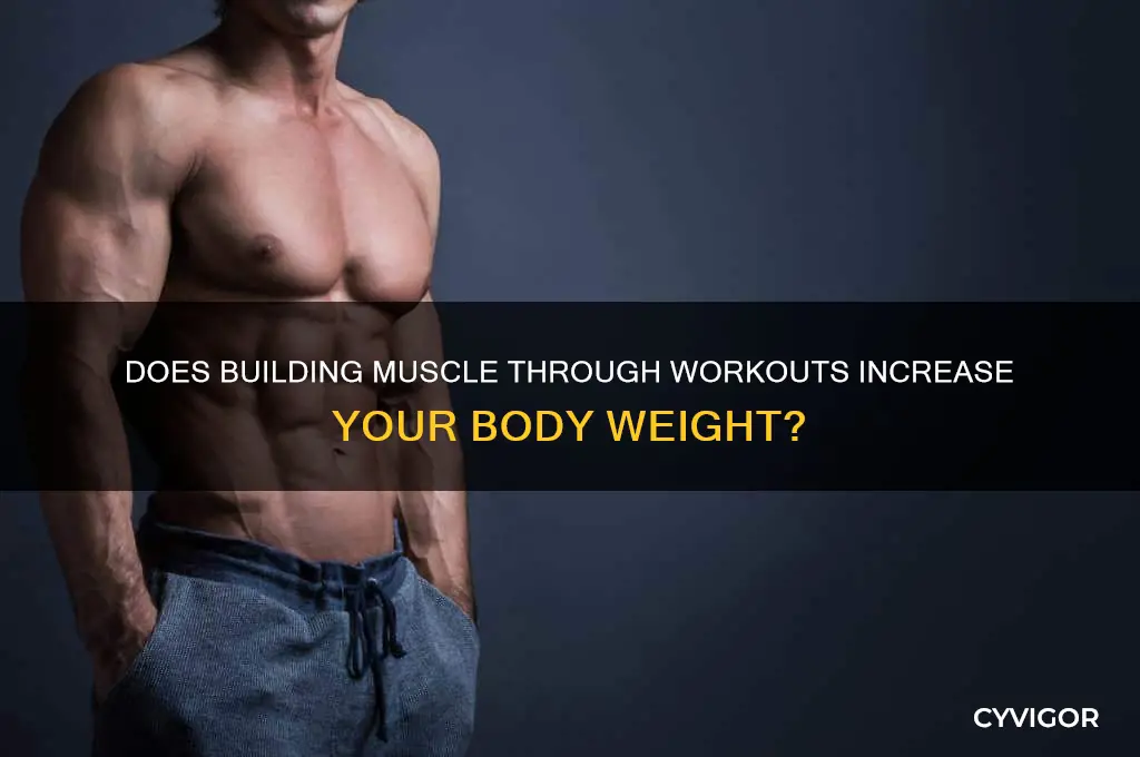does working out adding muscle increase your body weight