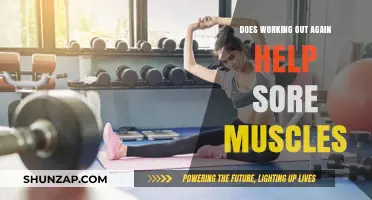 Active Recovery: Can Working Out Again Ease Sore Muscles?