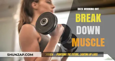 Does Working Out Break Down Muscle? Unraveling the Science Behind It