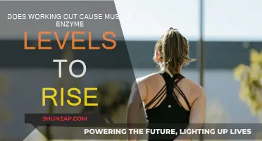 Exercise and Muscle Enzymes: What's the Connection?