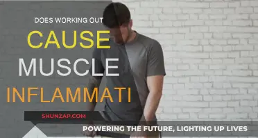 Exercise and Inflammation: What's the Real Deal?
