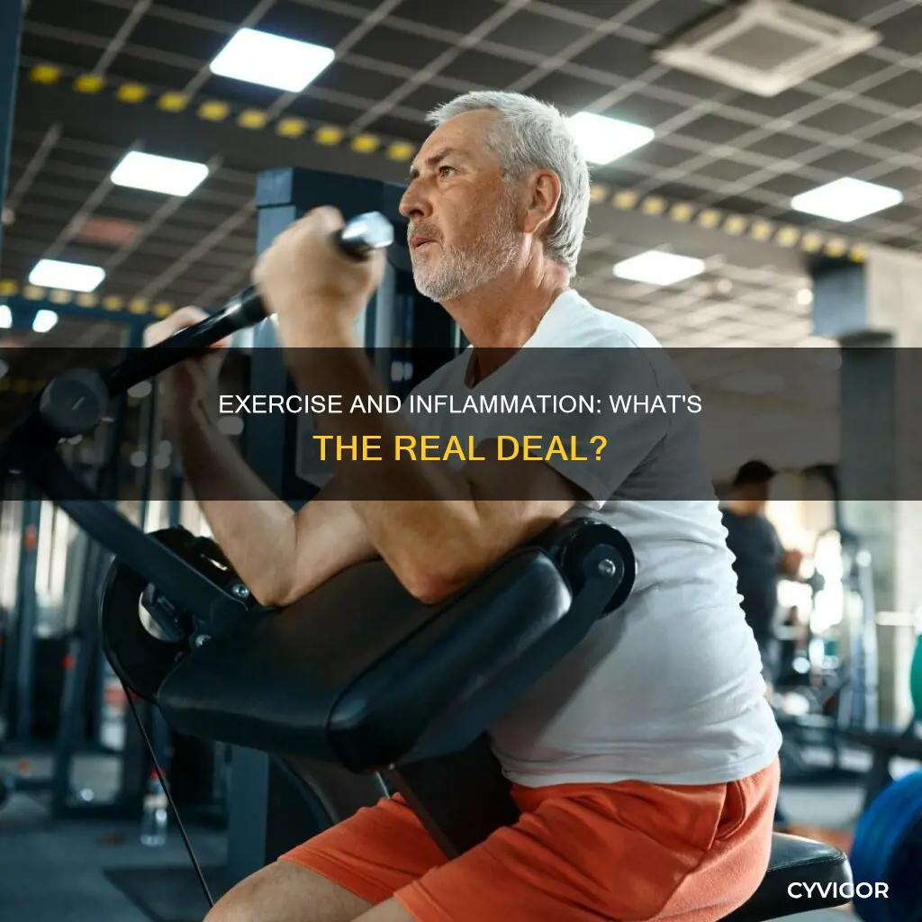 does working out cause muscle inflammation