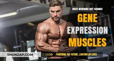 How Exercise Alters Muscle Gene Expression: Unlocking Fitness Secrets
