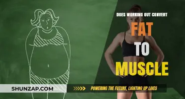 Can Exercise Transform Fat into Muscle? Debunking Fitness Myths