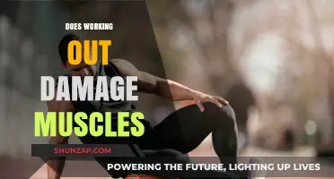 Does Working Out Damage Muscles? Unraveling the Myth of Muscle Soreness