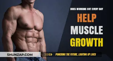 Daily Workouts: The Key to Accelerating Muscle Growth?