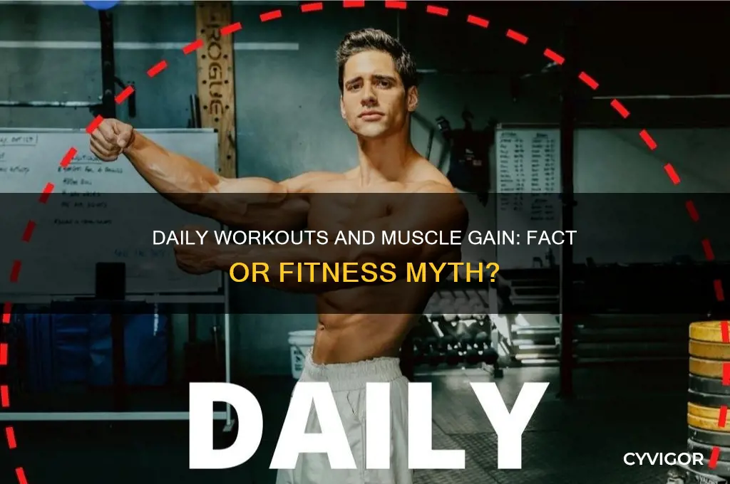 does working out everyday make you gain muscle