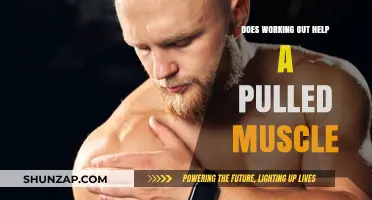 Can Exercise Aid Pulled Muscle Recovery? Facts and Tips Revealed