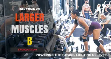 Does Working Out Larger Muscles Boost Overall Strength and Fitness?