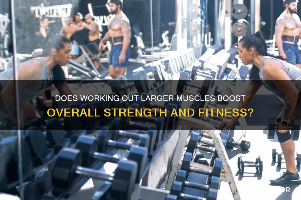 does working out larger muscles b