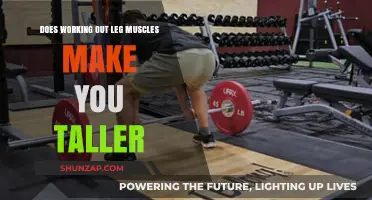 Can Leg Workouts Increase Height? Debunking Myths and Facts