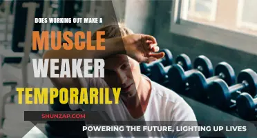 Temporary Muscle Weakness After Workouts: Understanding Post-Exercise Fatigue