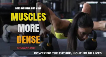 Does Working Out Increase Muscle Density? Unraveling the Science