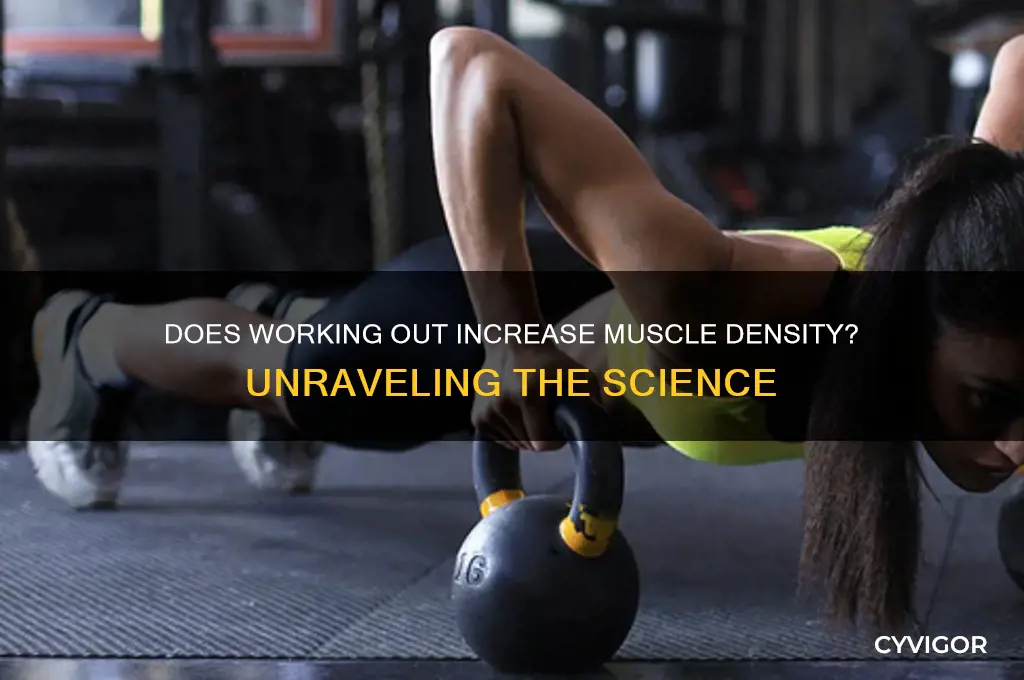 Does Working Out Increase Muscle Density? Unraveling The Science | CyVigor
