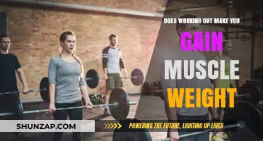 Does Working Out Lead to Muscle Weight Gain? Facts Revealed