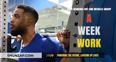 Single Muscle Group Workouts Weekly: Effective or Inefficient Training Strategy?