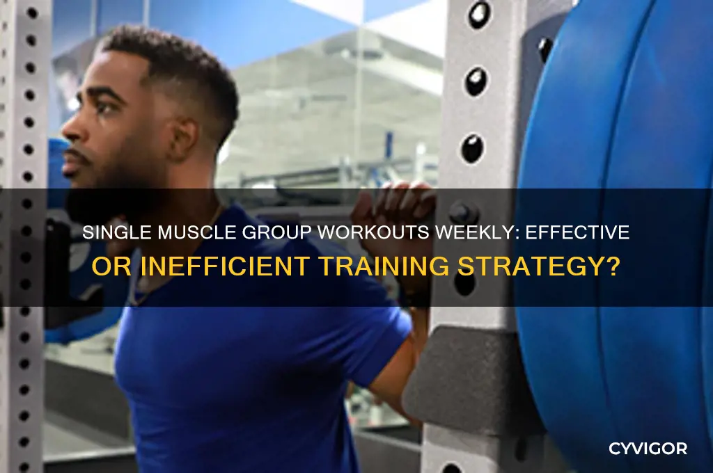 does working out one muscle group a week work