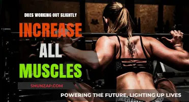 Does Light Exercise Slightly Boost All Muscles? Unveiling the Truth
