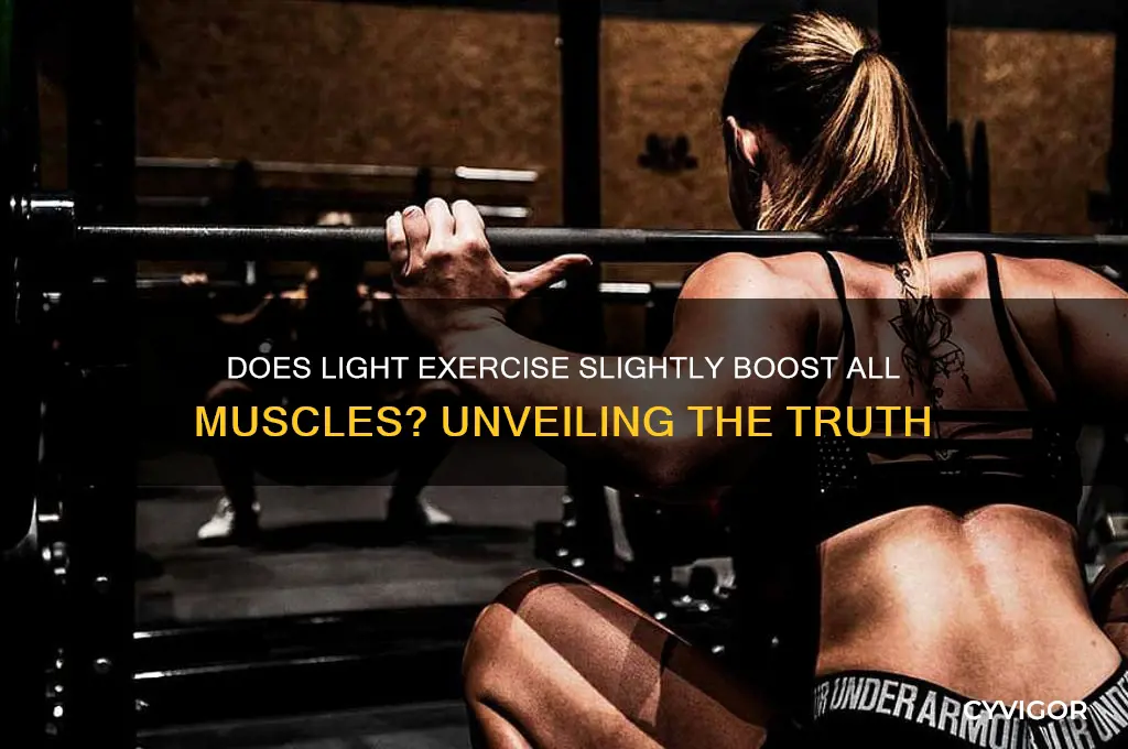 does working out slightly increase all muscles