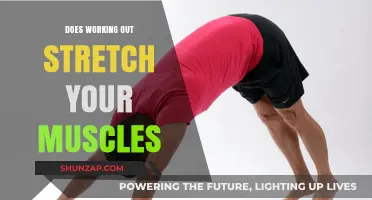 Does Working Out Stretch Muscles? Unraveling the Fitness Myth