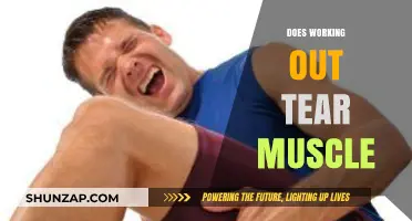 Does Working Out Tear Muscle? Understanding Muscle Damage and Recovery
