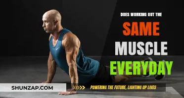 Daily Muscle Workouts: Effective or Counterproductive for Strength Gains?