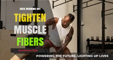 Does Working Out Tighten Muscle Fibers? Unraveling Fitness Myths