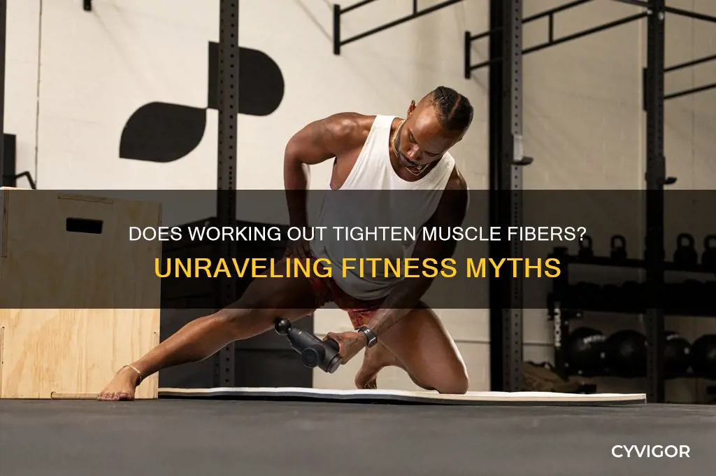 does working out tighten muscle fibers