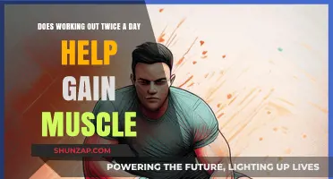 Double Workouts: Effective Muscle Gain Strategy or Overkill?
