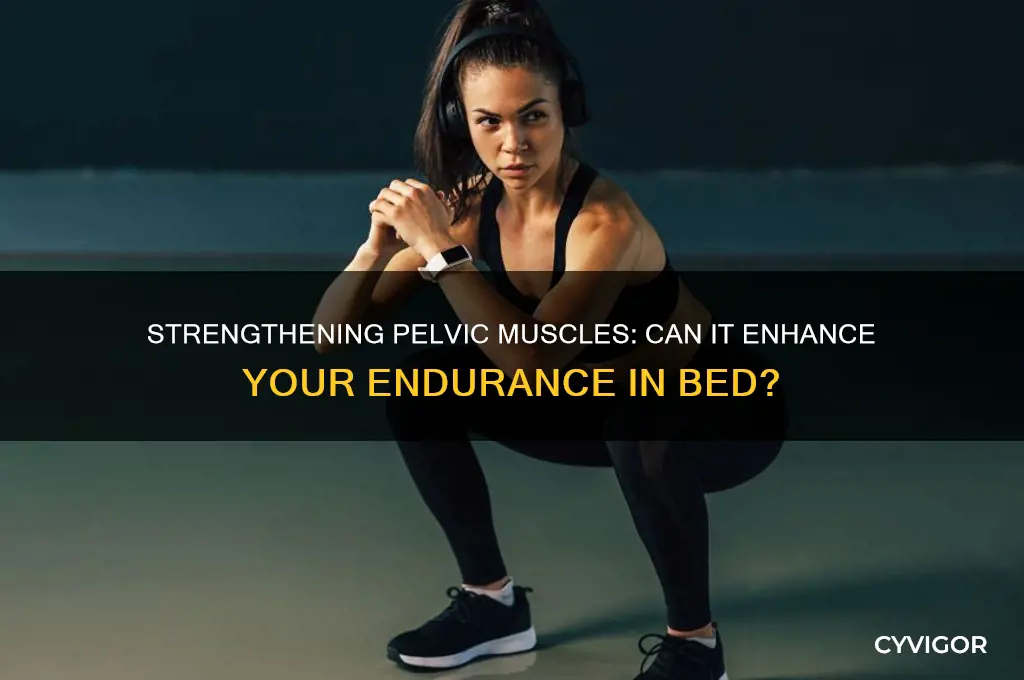 does working out your pelvic muscle help you last longer