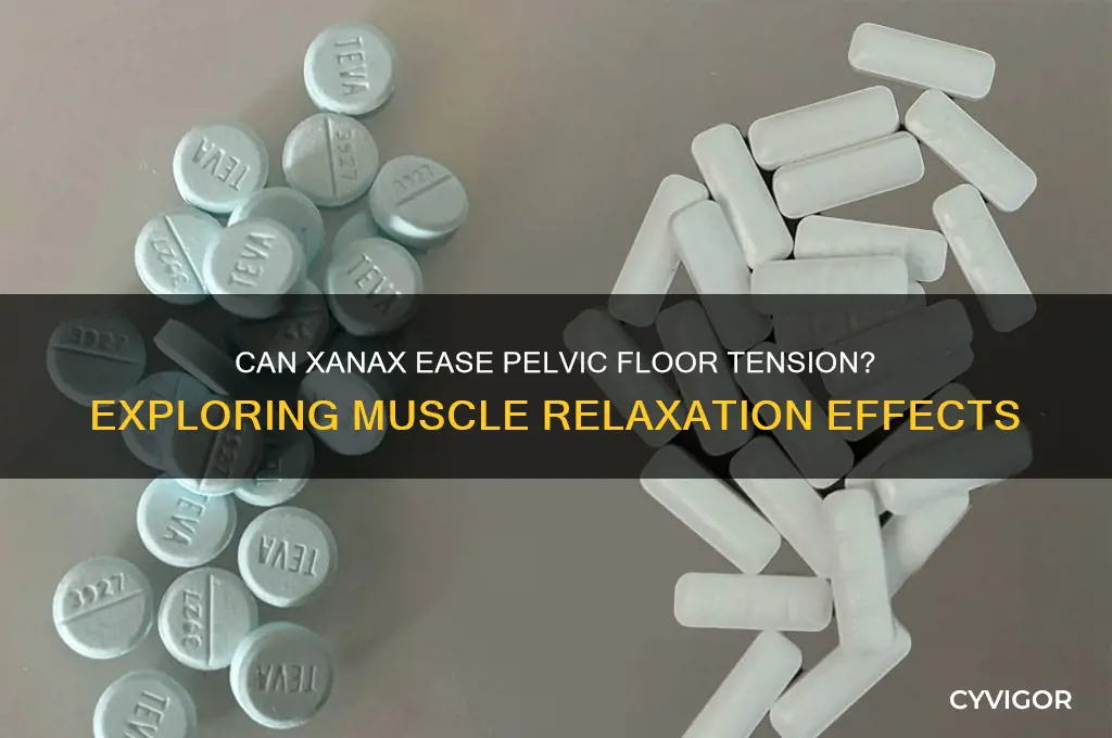 does xanax relax pelvic floor muscles