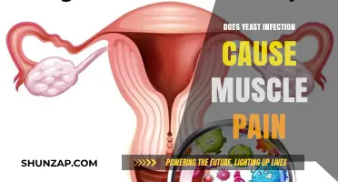 Yeast Infections: Can They Cause Muscle Pain?